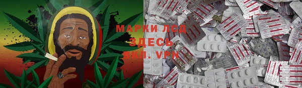 трава Гусев